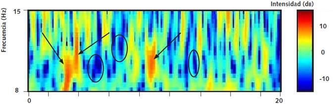 Gráfica de frecuencia contra tiempo e intensidad de las respuestas ante la estimulación visual. En el eje Y es el rango de frecuencias entre 8-15 Hz donde se podría encontrar la activación de las neuronas espejo. En el eje X se grafica el tiempo en minutos y el color corresponde a la intensidad de la respuesta; rojo es activación y azul corresponde a inactivación. Nótese la sincronización (flechas sólidas, rojo) y desincronización de las neuronas espejo (óvalos) en el rango característico para la actividad de dichas neuronas.