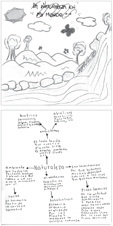 Representaci&oacute;n antes y despu&eacute;s de la estrategia pedag&oacute;gica.