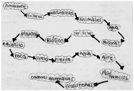 Modelo lineal y p&aacute;rrafo de introducci&oacute;n explicativo de una estudiante.