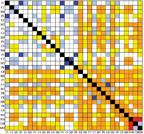 Heatmap of variation matrix. Colors describe importance of association (A). Red: No A. Orange: negligible A. Yellow: very low A. White: low A. Pale blue: weak A. Dark blue: strong A.