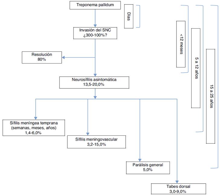La neuros&iacute;filis se puede clasificar en formas tempranas y tard&iacute;as. Las formas tempranas involucran el l&iacute;quido cefalorraqu&iacute;deo, las meninges y la vasculatura. Las formas tard&iacute;as involucran el par&eacute;nquima de la m&eacute;dula y el enc&eacute;falo. Modificado de Ghanem12.