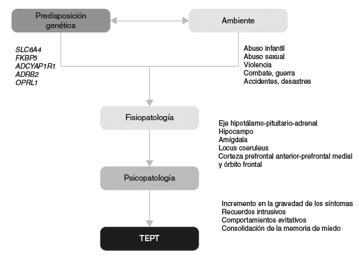 Interacci&oacute;n entre genes y ambiente con el desarrollo fisiopatol&oacute;gico del trastorno por estr&eacute;s postraum&aacute;tico.