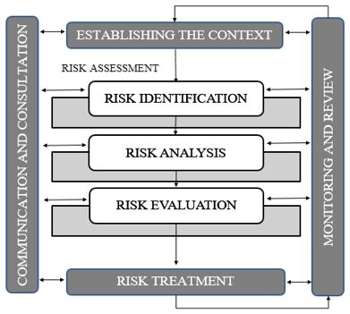 Risk management process