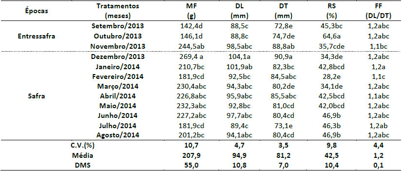 Médias
de massa do fruto (MF), diâmetros longitudinal (DL) e
transversal (DT), rendimento de suco (RS) e formato de frutos (FF) de
maracujazeiro amarelo produzidos na entressafra e safra no Vale do São Francisco
e comercializados na CEASA de Juazeiro – BA.