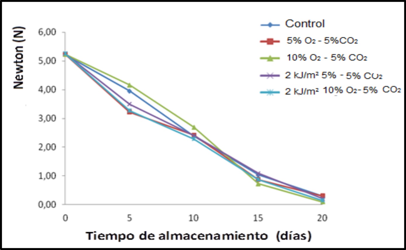Variación de la firmeza de mora de Castilla sin
espinas durante el almacenamiento. Tukey = 0.25 

 