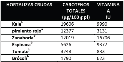 Hortalizas con alta concentración en Carotenoides