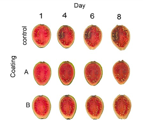 Aspecto
visual del pericarpio de guayabas
tratadas con RC y sin tratar almacenadas a temperatura entre 25°C y 28°C.