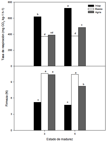 Tasa
de respiración y firmeza de los frutos de naranjilla de las variedades Iniap-Quitoense 2009, Baeza y
Agria en estados de madurez 3 y 5. Letras distintas indican diferencias de
acuerdo al test LSD de Fisher con un nivel de significancia de P < 0,05