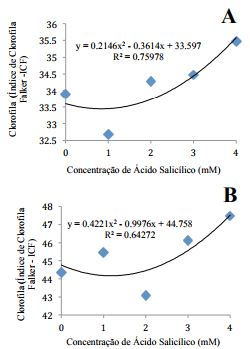 Clorofila
A da fração inferior das plantas (A) e clorofila total (a+b) da fração superior
(B) de plantas de morangueiro cv. Milsei-Tudla em função de cinco concentrações
de ácido salicílico. Regressão polinomial significativa na probabilidade de 5%
para ambas as variáveis. Laranjeiras do Sul – PR, 2016.

 