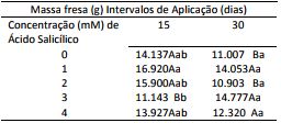 Massa
fresca (g) de frutas de morangos cv. Milsei-Tudla em função de cinco
concentrações de ácido salicílico e dois intervalos de aplicação. Laranjeiras
do Sul-PR, 2017

 
