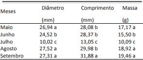 Di&acirc;metro
(mm), comprimento (mm) e massa de frutas (g) de morango cultivar San Andreas em
fun&ccedil;&atilde;o de cinco per&iacute;odos de avalia&ccedil;&atilde;o em sistema de cultivo fora de solo.
Laranjeiras do Sul &ndash; PR, 2017