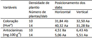 Colora&ccedil;&atilde;o
(Hue&deg;) e teor de antocianinas (mg.100 g-1 ) de morango
cultivar San Andreas cultivado em dois posicionamentos de slab e duas
densidades de plantio. Laranjeiras do Sul &ndash; PR, 2017.

 