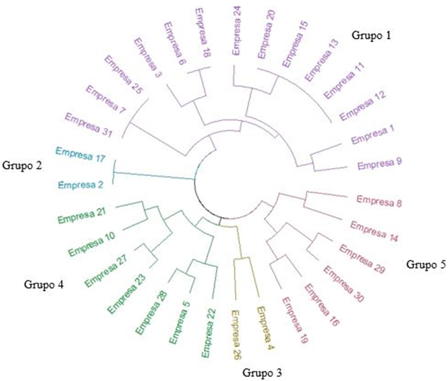 Agrupamiento de empresas
por certificación / reconocimiento
