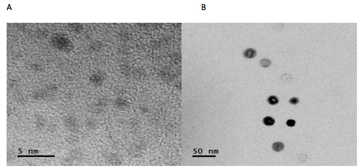 Imagen
TEM de: (A) nanopart&iacute;culas de quitosano (NPQ) 3 nm y (B) nanopart&iacute;culas de quitosano m&aacute;s extracto etan&oacute;lico de
ar&aacute;ndano (NPQEEA) 26 nm.