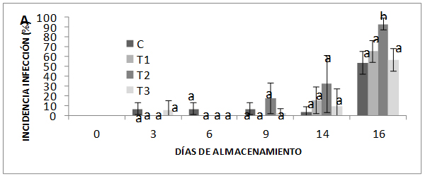 Representaci&oacute;n gr&aacute;fica de la infecci&oacute;n (A) y severidad
(B) de fresas tratadas con NPQ (T1), NPQEEA (T2) y Q 1,5% (T3), almacenadas
durante diez y seis d&iacute;as a 5&ordm;C.
