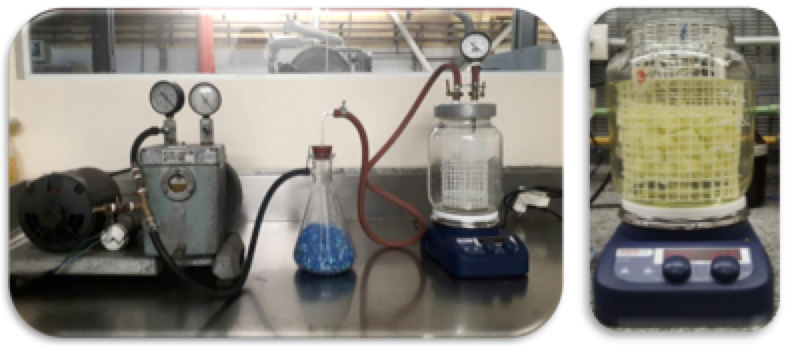 Equipo de impregnación por
vacío para la obtención de manzanas mínimamente procesadas con alto contenido
en vitamina C
