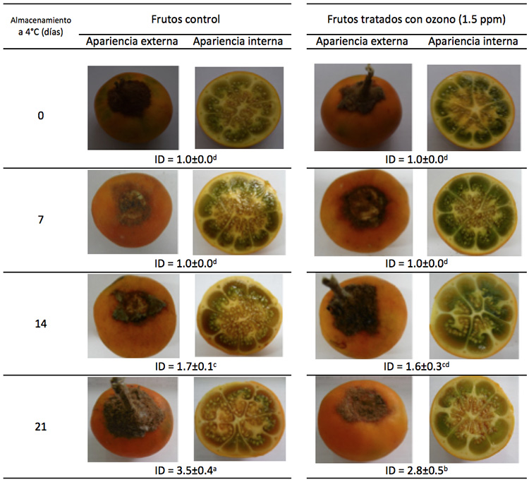 Índice de deterioro (externo e interno) de naranjilla (Solanum quitoense) tratada con ozono gaseoso (1.5ppm)