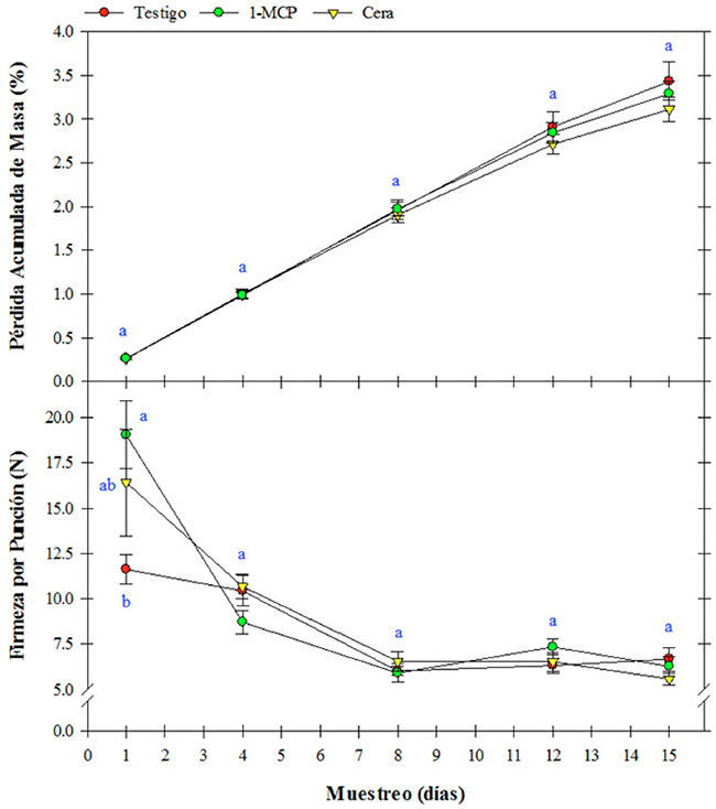 Cambios en la p&eacute;rdida acumulada de masas (%) y firmeza (N) de frutos de mango &ldquo;Haden&rdquo;
tratados (1-MCP o cera) o no (Testigo) durante 15 d&iacute;as a 20 &deg;C