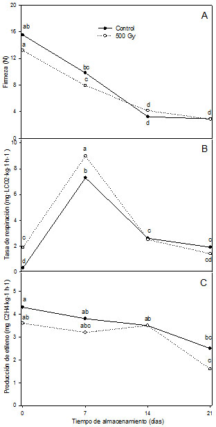 A)
Firmeza, B) Tasa de respiración y C) producción de etileno de naranjilla control y tratadas con 500
Gy (radiación gamma) almacenada en refrigeración (8°C) durante 21 días