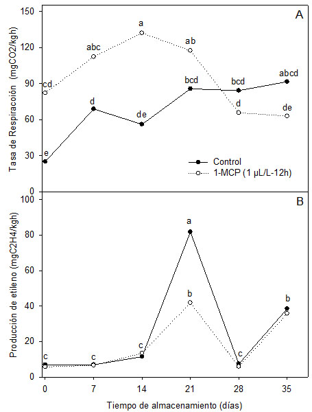 (A) Tasa de respiración y (B) producción de etileno en uvilla orgánica control
y tratada con 1-MCP (1,0 mL/L-12h) durante el almacenamiento a 5°C.