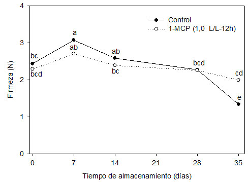 Firmeza de uvilla orgánica control y
tratada con 1-MCP (1,0 mL/L-12h) durante
el almacenamiento a 5°C.