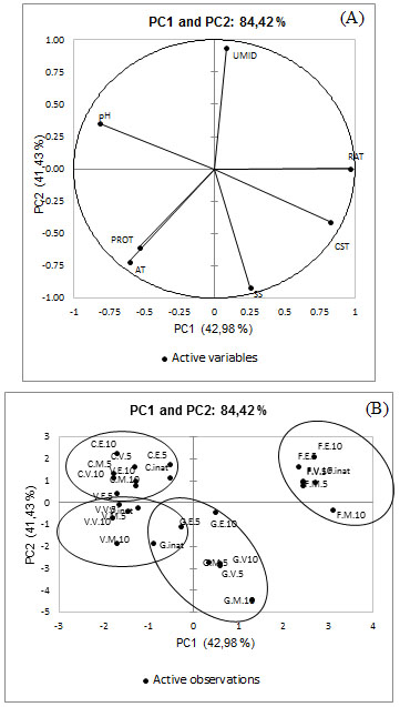 Projeção
bidimensional (A) e escores (B) de atributos físico-químicos (umidade, sólidos
solúveis totais, pH, acidez titulável, proteína e carboidratos solúveis totais)
nos dois primeiros componentes principais entre as cultivares de couve-flor
Cheddar (C), Verde di Macerata (V), Forata (F) e Graffiti (G) avaliadas na
forma in natura e após os diferentes
processamentos térmicos, ebulição (E), a vapor (V) e em micro-ondas (M) e nos
diferentes tempos de cocção (5 e 10 min)