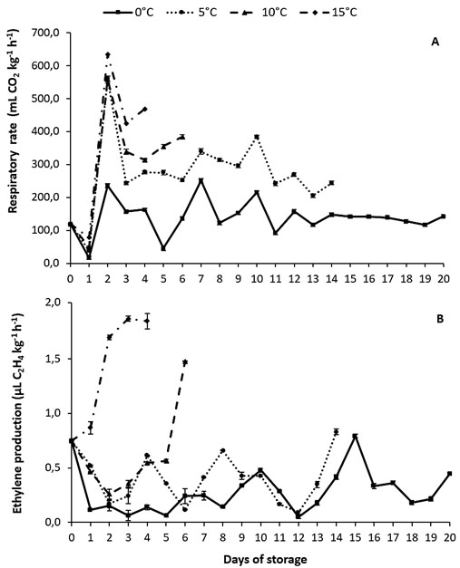 Respiratory rate (A)
and ethylene production (B) in minimally
processed escarole stored at different temperatures and 90-95% RH for 20
days. Vertical bars represent the
standard error of the mean (n =
5)