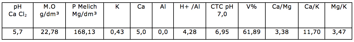 Composi&ccedil;&atilde;o qu&iacute;mica do solo na &aacute;rea destinada ao experimento no Setor de Olericultura da &Aacute;rea Experimental da UFFS. Laranjeiras do Sul-Pr, 2019