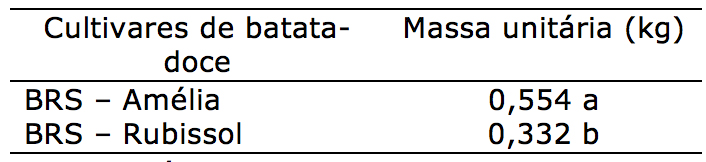 Massa unit&aacute;ria (Kg) de duas cultivares de batata-doce (Ipomoea batatas L.) (BRS-Am&eacute;lia e BRS-Rubissol) em sistema de cultivo org&acirc;nico de produ&ccedil;&atilde;o nas condi&ccedil;&otilde;es edafoclim&aacute;ticas de Laranjeiras do Sul, Pr, UFFS, 2019