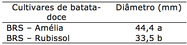 Di&acirc;metro (mm) de duas cultivares de batata-doce (Ipomoea batatas L.)  (BRS-Am&eacute;lia e BRS-Rubissol) em sistema de cultivo org&acirc;nico de produ&ccedil;&atilde;o nas condi&ccedil;&otilde;es edafoclimaticas de Laranjeiras do Sul, Pr, UFFS, 2019