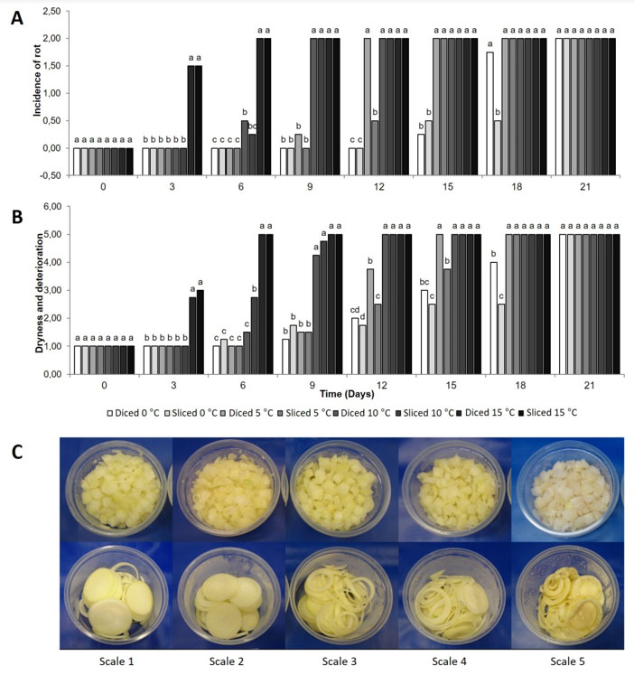 Visual aspects of diced and sliced fresh-cut onion and submitted to different storage temperatures.