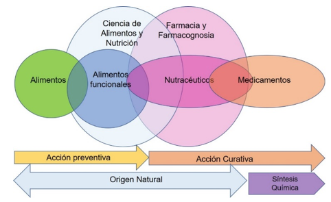Relación de los actores involucrados para el estudio y desarrollo de alimentos funcionales y nutraceúticos