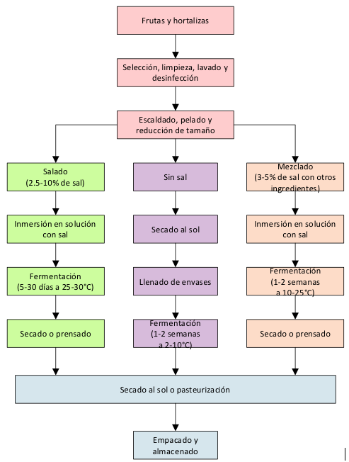 Proceso de fermentación general para frutas y hortalizas