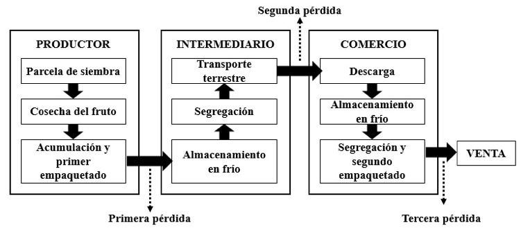 Cadena productiva para la venta de naranja. Se se&ntilde;alan las p&eacute;rdidas poscosecha de mayor volumen para las tres macroetapas principales: productor, intermediario y comercio.