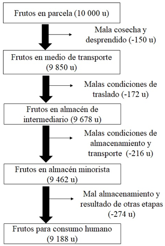 Rendimiento general y p&eacute;rdida de unidades de C. sinensis.