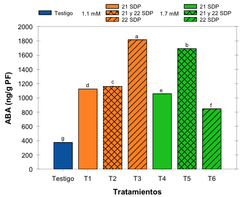 Contenido de ABA en las nueces tratadas o no con A2H cosechadas a las 25 SDP sin GP.