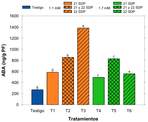 Contenido ABA en las nueces con presencia de GP, pretratadas con A2H, cosechadas a las 25 SDP.