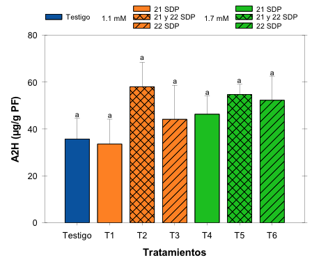 Contenido A2H en las nueces sin presencia de GP pretratadas con A2H cosechadas a las 25 SDP.