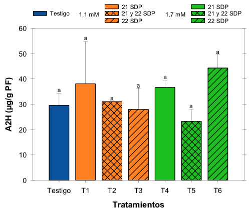 Contenido A2H en las nueces con presencia de GP, pretratadas con A2H, cosechadas a las 25 SDP.