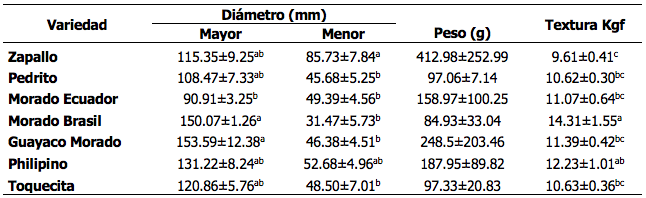 Diámetro mayor y menor, peso y textura de los tubérculos
