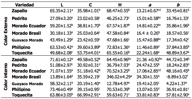Color externo e interno de los tubérculos