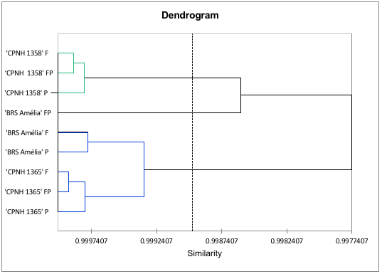 Hierarchical cluster analysis (HCA) of the biochemical characteristics of total phenolic compounds, total flavonoids, total carotenoids, antioxidant activity by DPPH and lipid peroxidation by MDA in orange-fleshed sweet potatoes. The treatments are represented by the points, where F = flesh; P = peel and FP = flesh + peel