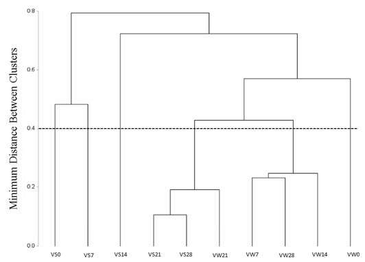 Dendrogram constructed based on the postharvest variables profiles of lettuce &lsquo;Vanda&rsquo;.