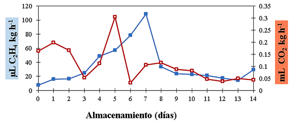 Velocidad de Respiraci�n (mL CO2 kg h-1) y producci�n de etileno (�L C2H4 kg h-1) en pitaya con 40 DDF almacenada por 14 d�as a 25 �C y 80 % HR. n= 10.