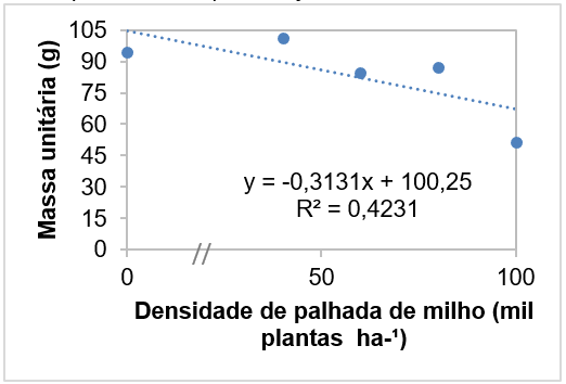 Massa unit�ria g de beterrabas em fun��o de diferentes densidades de palhada de milho (0, 40, 60, 80 e 100 mil plantas ha�) Laranjeiras do SulPR, 2019