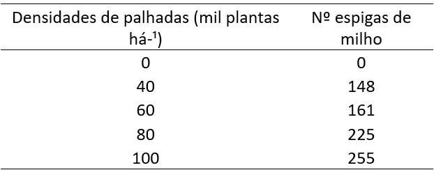 N�mero de espigas de milho colhidas nas diferentes densidades de palhadas (0,40,60,80 e 100 mil plantas ha�), Laranjeiras do Sul-PR ,2019.
