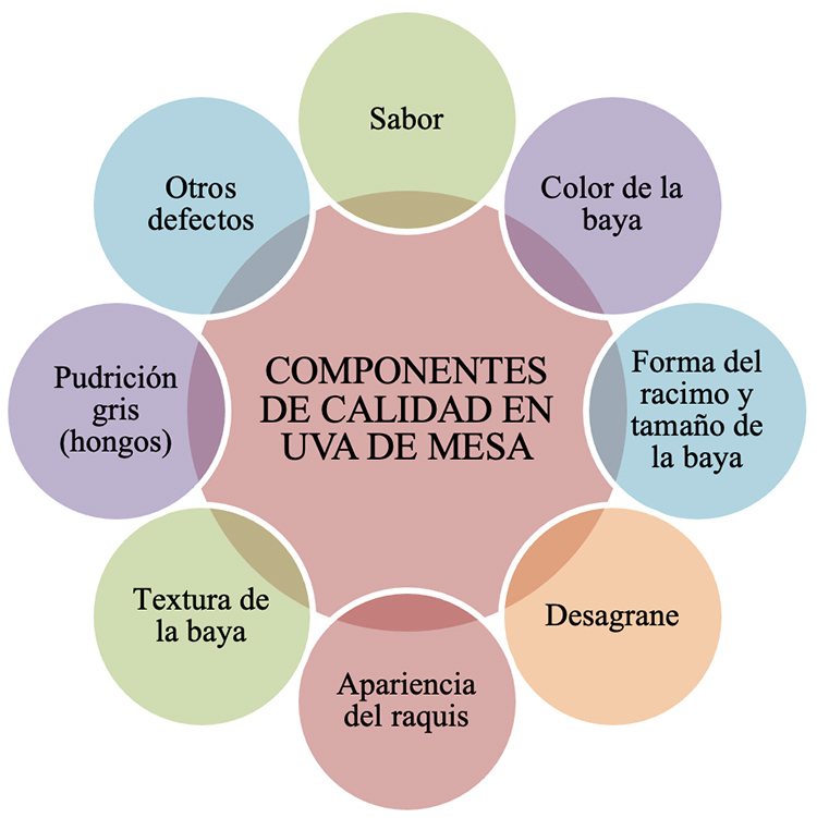 Componentes de calidad en uva de mesa