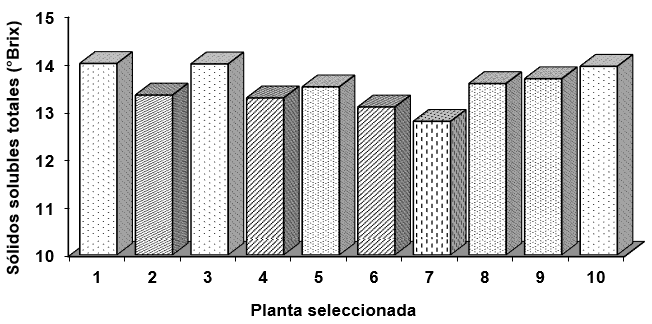 Variacin en los contenidos de slidos solubles totales (Brix) de los seudofrutos del merey (Anacardium occidentale L.)  por efecto de la planta seleccionada.