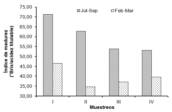 Variacin en el ndice de madurez de los seudofrutos en los muestreos dentro de la poca de cosecha.