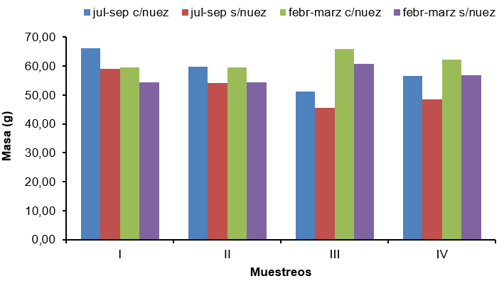 Variacin de la masa en los seudofrutos con y sin nuez en los muestreos dentro de la poca de cosecha.